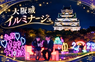 【編集例】イルミナージュプラン